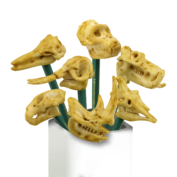 Игрушки в капсулах 45 мм &quot;Скелеты Юрского периода&quot;