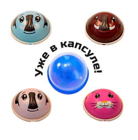 2417G-45 "Машинки-мордашки" в капсулах 45 мм (100 шт.уп)