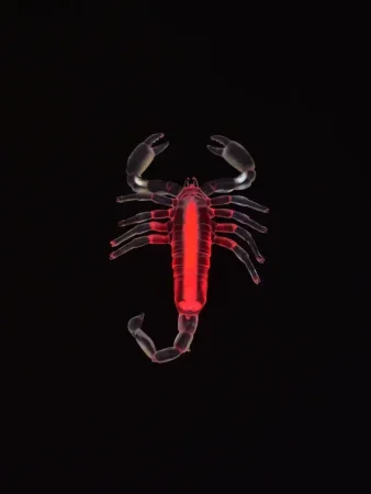 2278G-75 "Светящиеся" в капсулах 75 мм (12 шт./уп.)