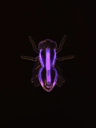 2279G Игрушка "Светящаяся коллекция" (4 игрушки в шт- 1 пакет)