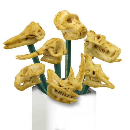 Игрушки для капсул