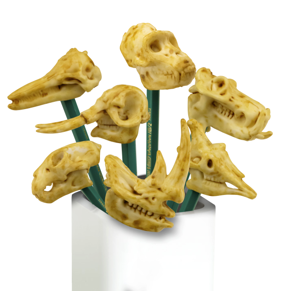 Игрушки для капсул
