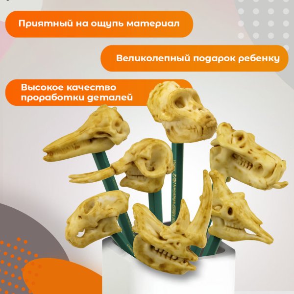 451760G "Скелеты Юрского периода" в капсулах 45 мм (100 шт./уп.)
