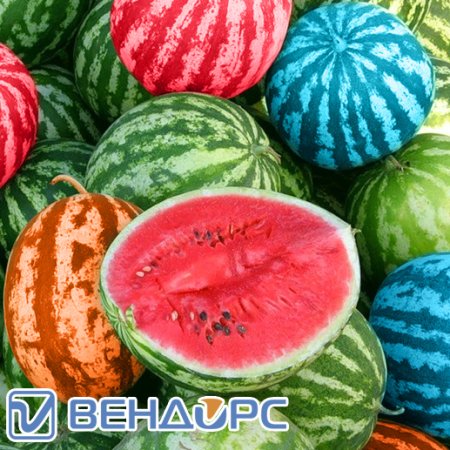 Жевательная резинка для механических торговых автоматов 27 мм "Арбузный фестиваль"